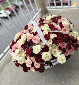 IMG_0071